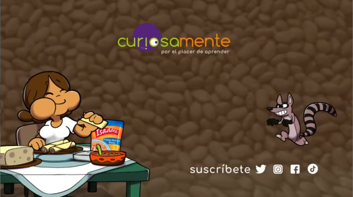 Descripción de la imagen